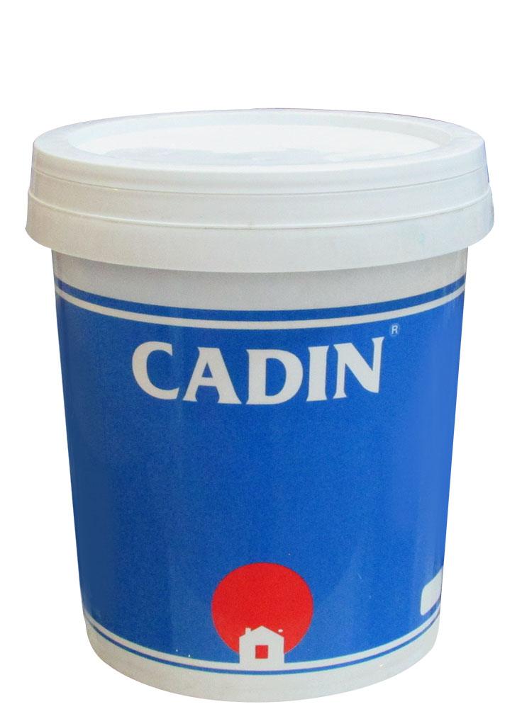Sơn Tennis CADIN Sơn Tennis CADIN